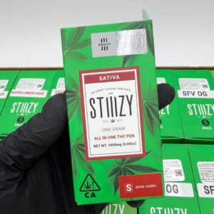 buy stiiizy 1g disposable