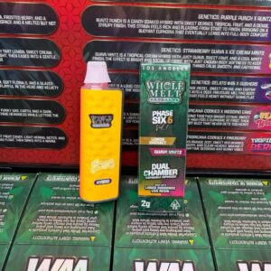 whole melt 2g disposable v6
